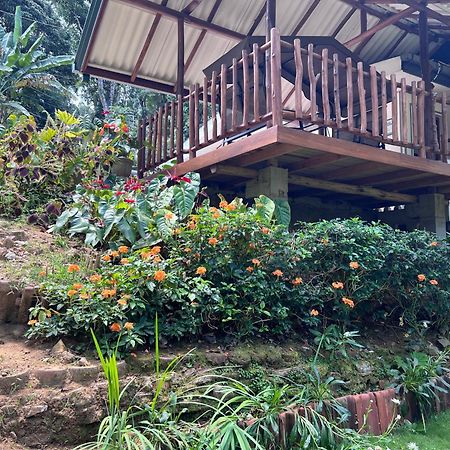 Eeshani Guest Inn إيلا المظهر الخارجي الصورة